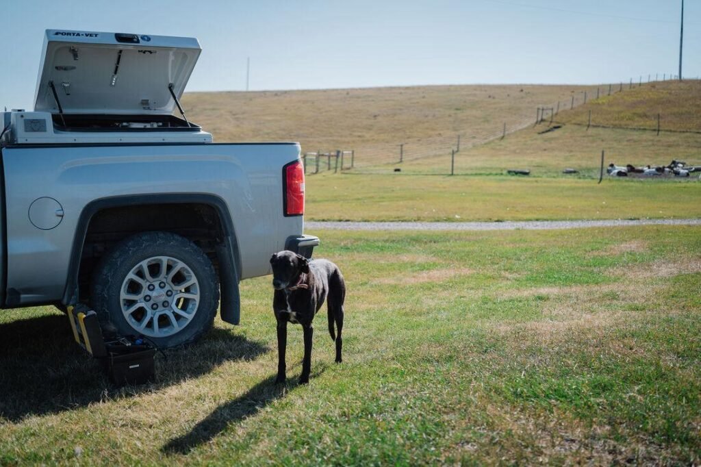 Freeze-dried dog treats made in Wheatland County, Alberta using locally sourced Hutterite-farmed ingredients with no fillers.