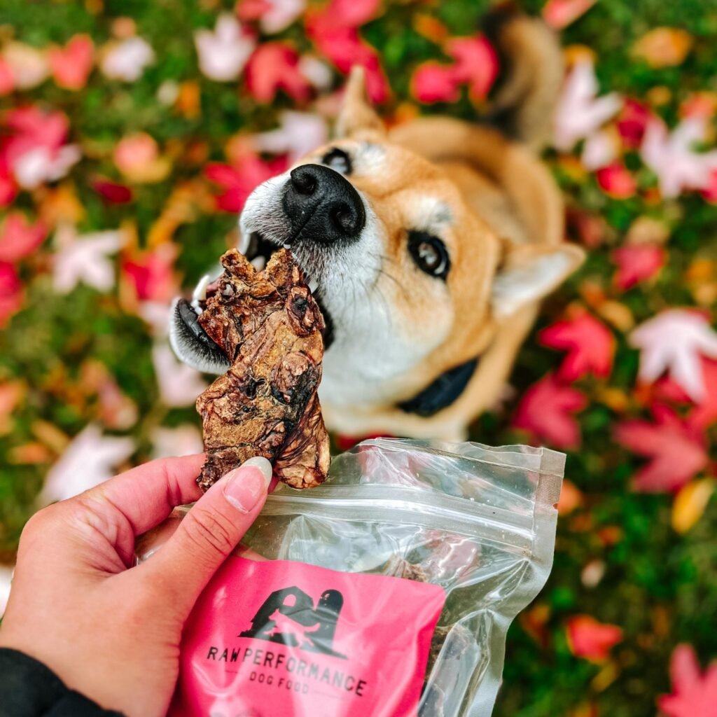 Freeze-dried beef liver and beef lung dog treats made in Alberta with single-ingredient organ meat.