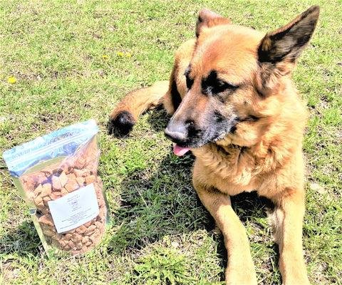 Canadian-made freeze-dried beef dog treats made from Alberta ingredients on a rustic wooden table.
