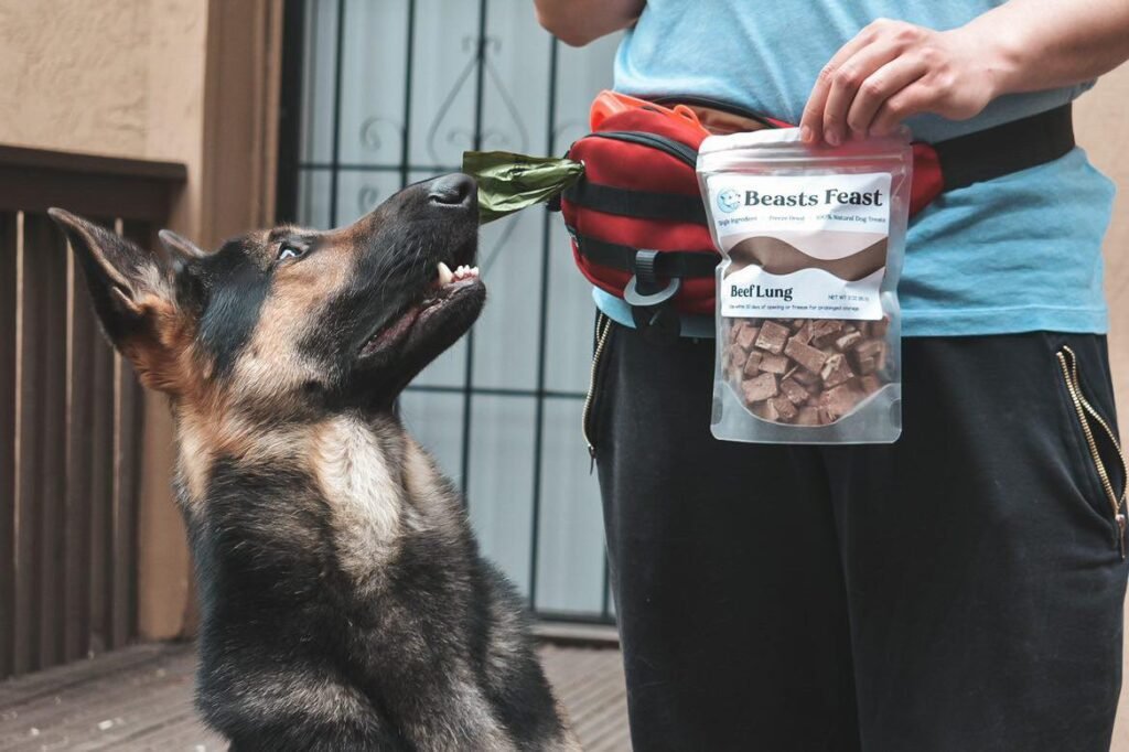 Freeze-dried beef lung dog treats in a bowl used as healthy high-protein training rewards for dogs.