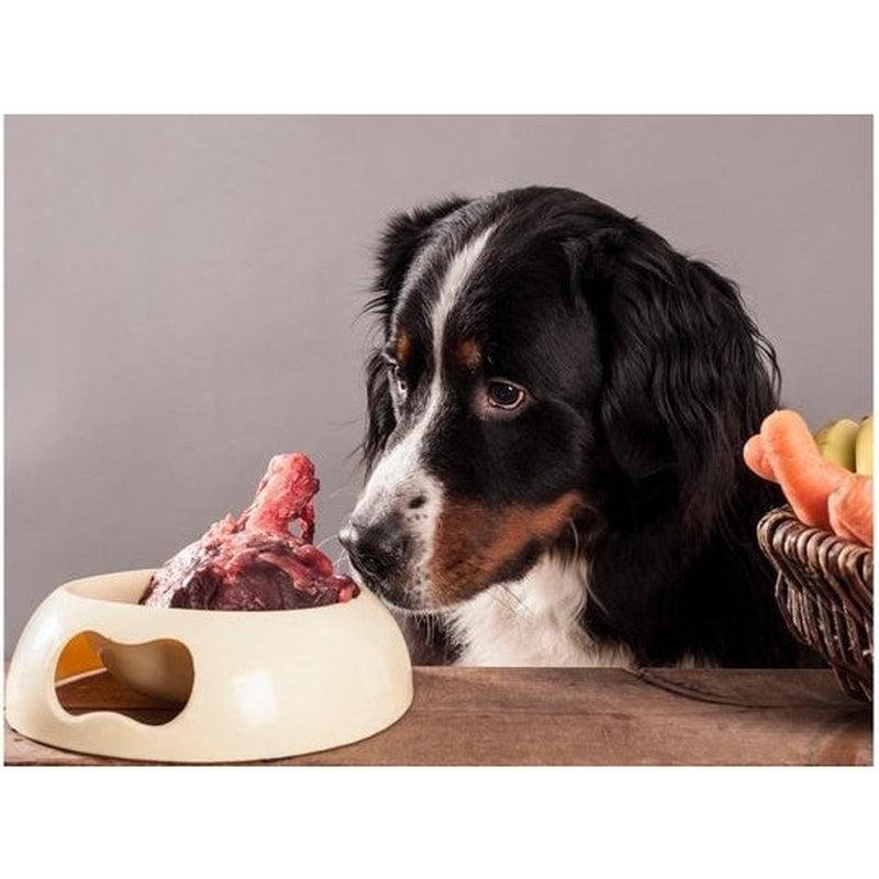 Fresh beef liver and beef lung prepared for dogs with a healthy dog beside the organ meats, demonstrating a nutrient-rich natural canine diet.